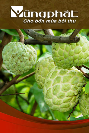 To trái, tạo màu, nặng ký