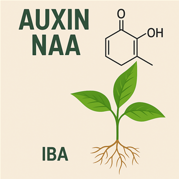 Auxin NAA & IBA Đối với cây trồng