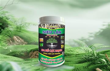 Siêu lân vi lượng 10-60-10