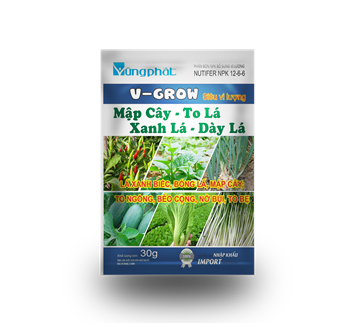 TO LÁ- XANH LÁ 30G