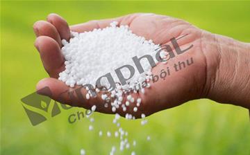 Các loại phân đạm và các sản phẩm phân bón có chứa thành phần Đạm (Nts)
