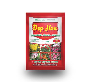 ĐẸP HOA 40G