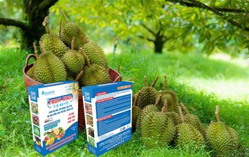 FRUIT KING 7-5-44 HỘP 1KG