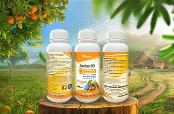 AMINO 80