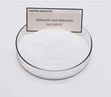 GA3 ( Acid Gibberellic ) 5 chức năng quan trọng 