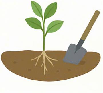 Cách xử lý cây sau khi bị ngập úng