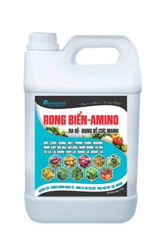 RONG BIỂN AMINO 5L