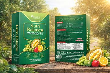 PHÂN BÓN HÒA TAN 20-20-20 +TE